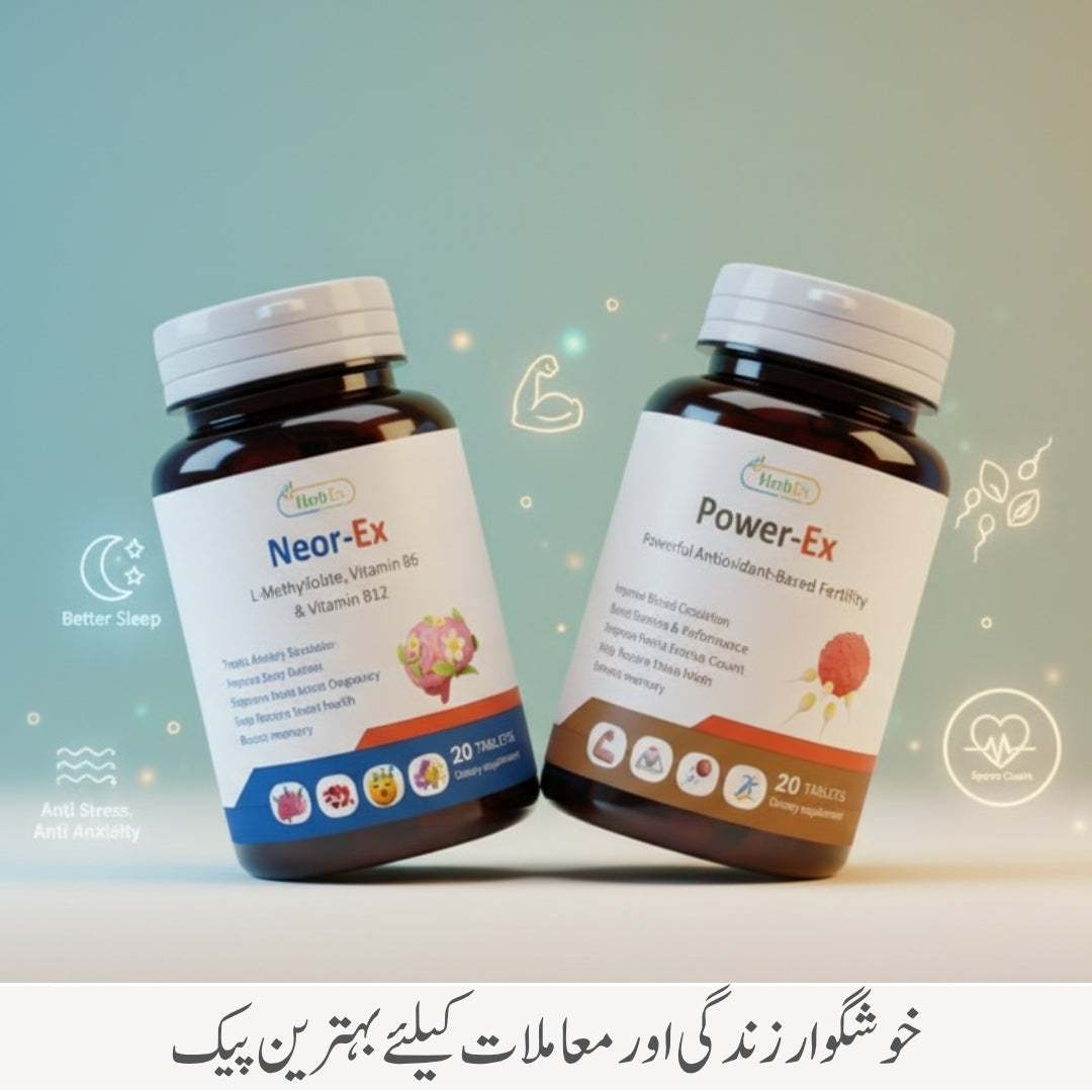 Power-Ex Neor-Ex Course