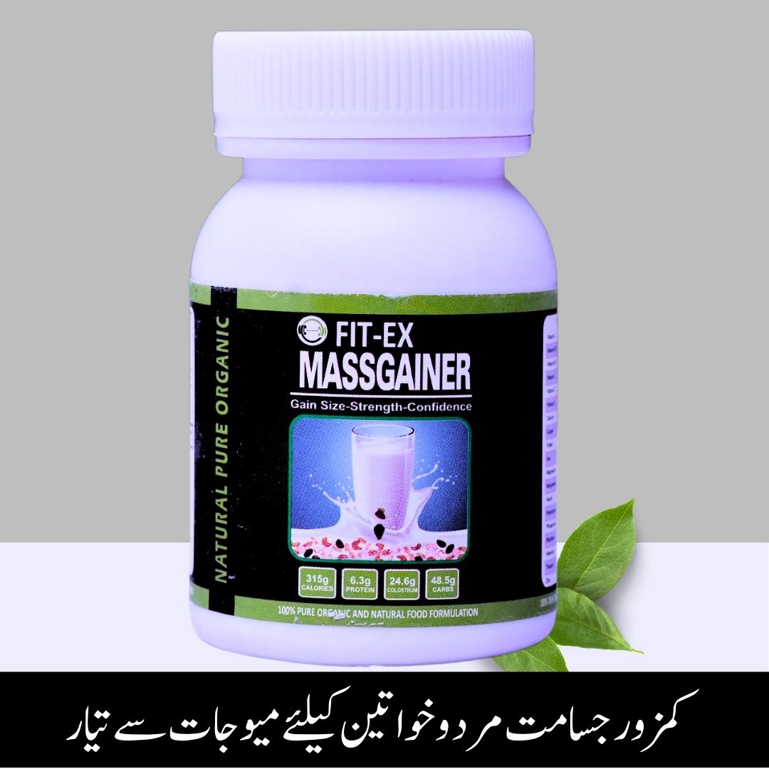 FIT-EX MASSGAINER